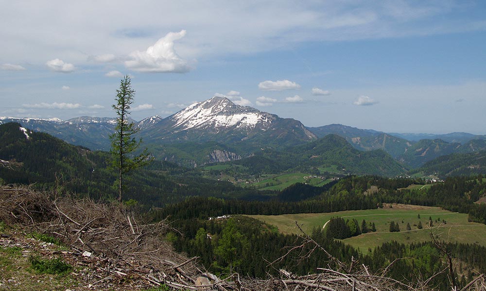 bichleralpe